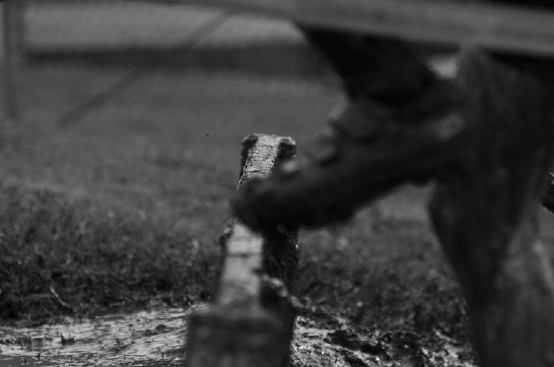 gallery/crossPir_038.jpg