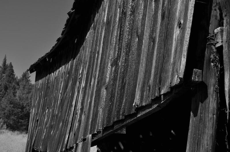 gallery/easternOregon_045.jpg