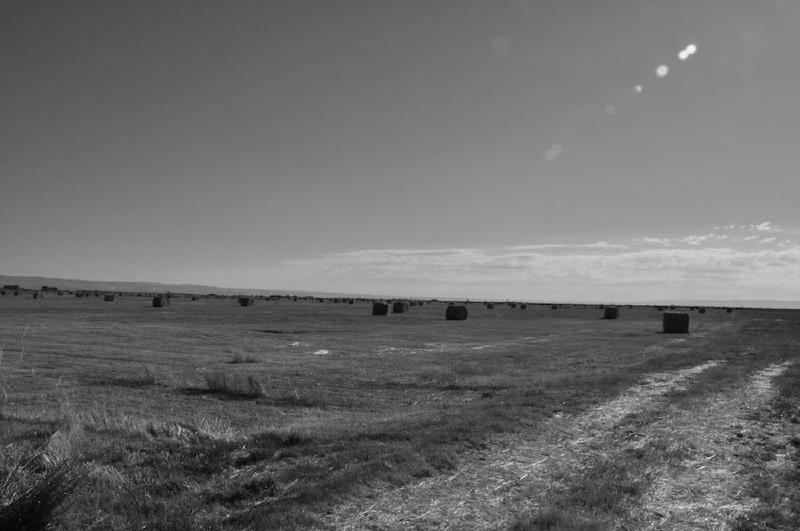 gallery/malheur_003.jpg