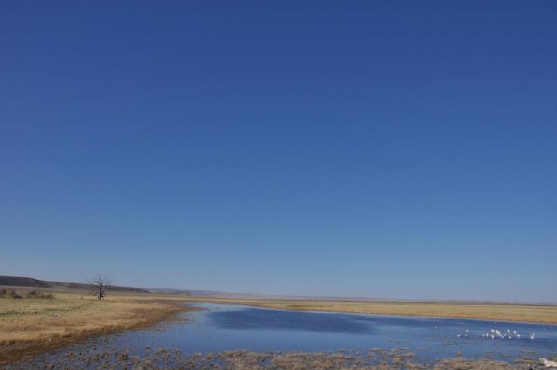 gallery/malheur_017.jpg