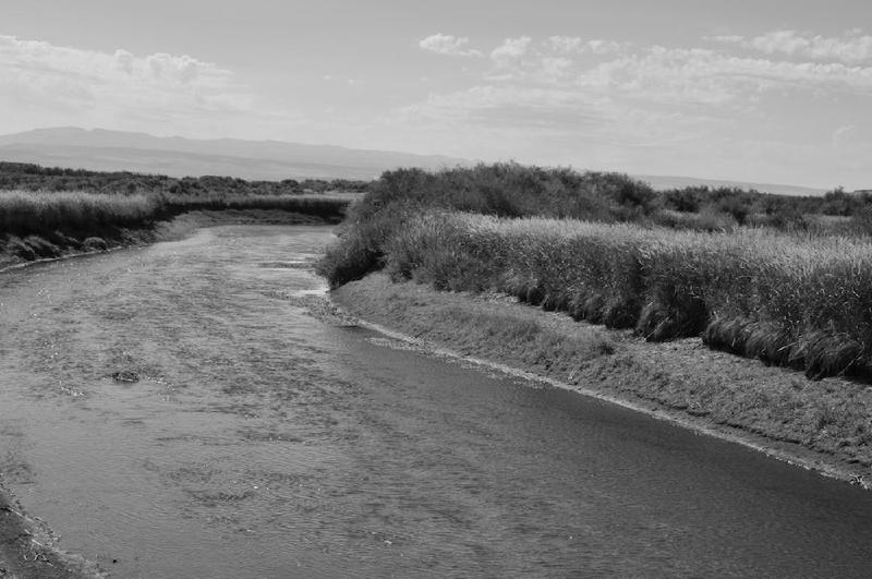 gallery/malheur_055.jpg