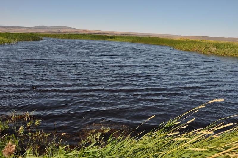 gallery/malheur_066.jpg