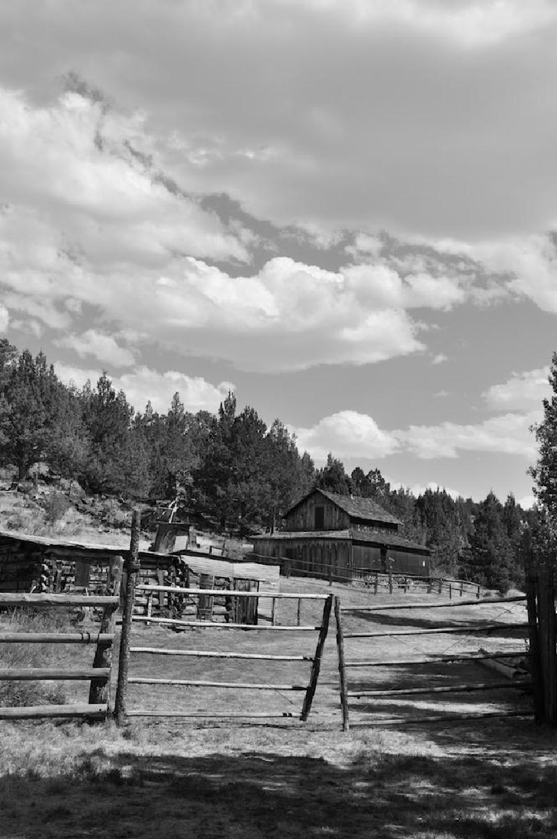 gallery/steens_049.jpg