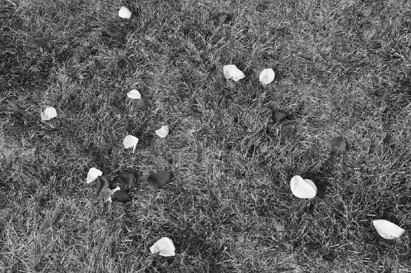 gallery/maysWedding_058.jpg