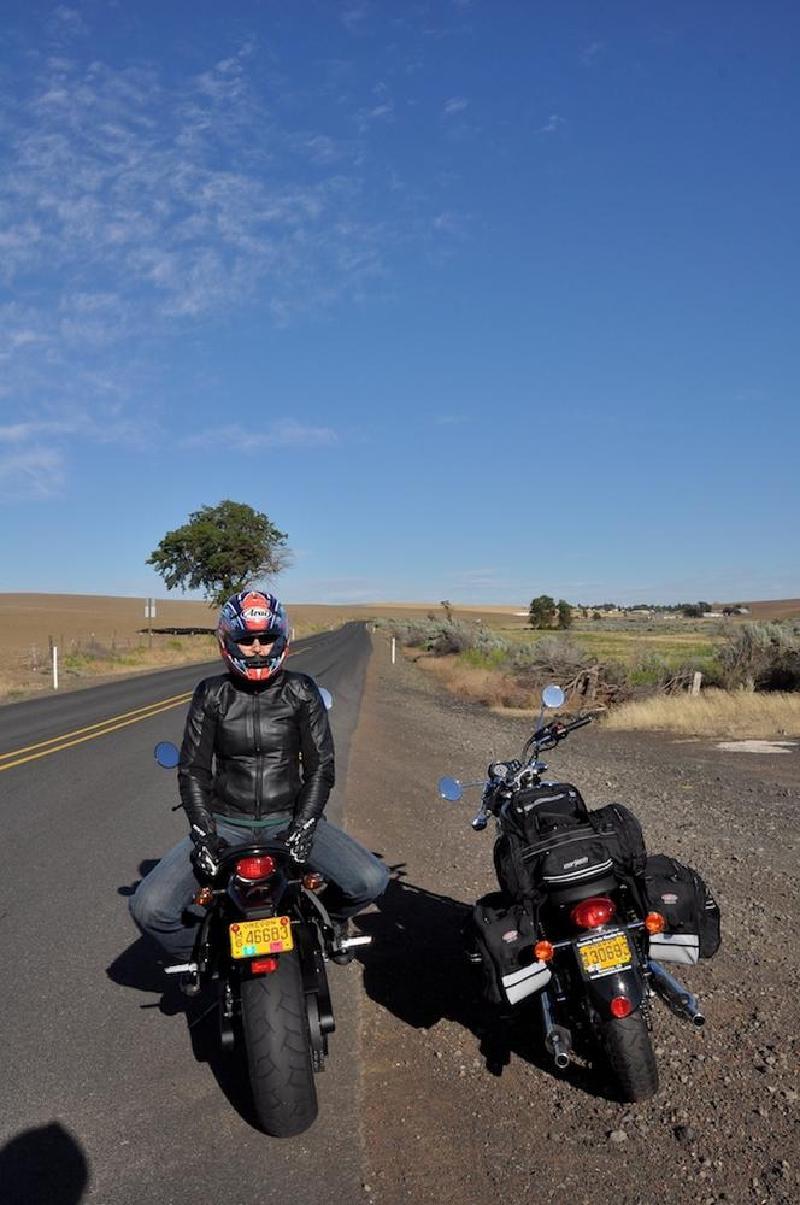 gallery/motoCondon_004.jpg