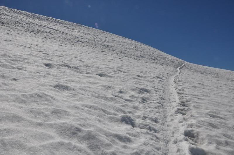 gallery/mtAdams_189.jpg