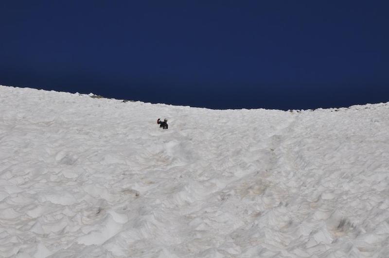 gallery/mtAdams_217.jpg