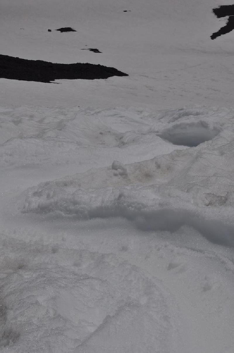 gallery/mtAdams_227.jpg