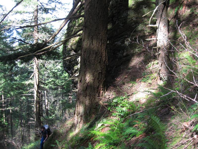 gallery/munraPoint_08.jpg