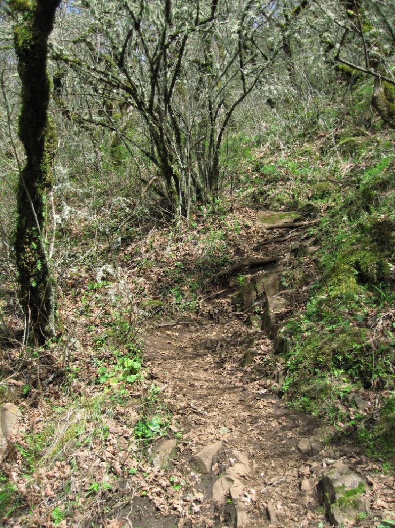 gallery/munraPoint_12.jpg