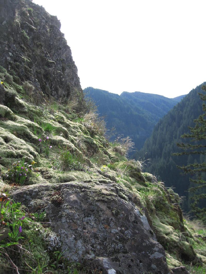 gallery/munraPoint_21.jpg