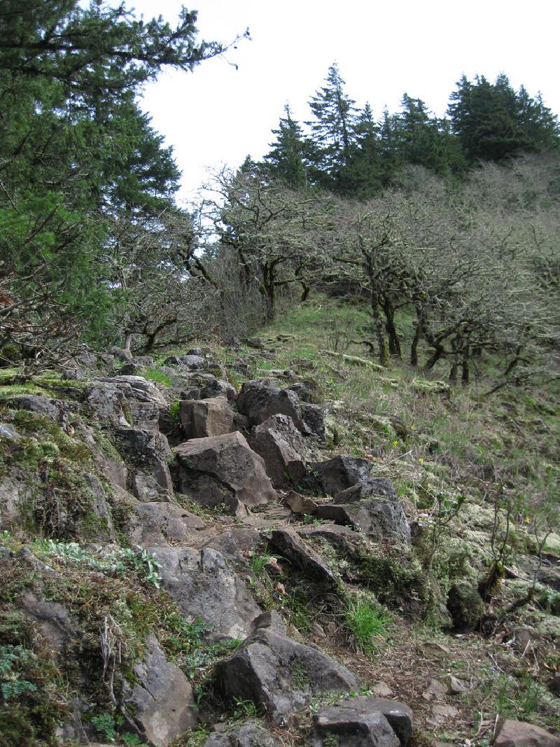 gallery/munraPoint_29.jpg
