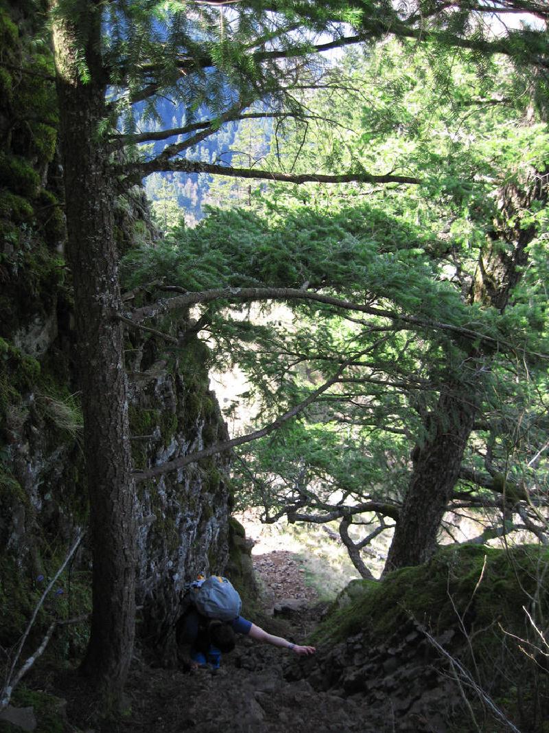 gallery/munraPoint_35.jpg
