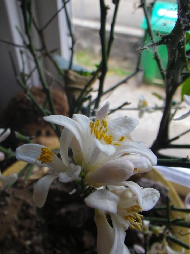 gallery/newCamera_003.jpg
