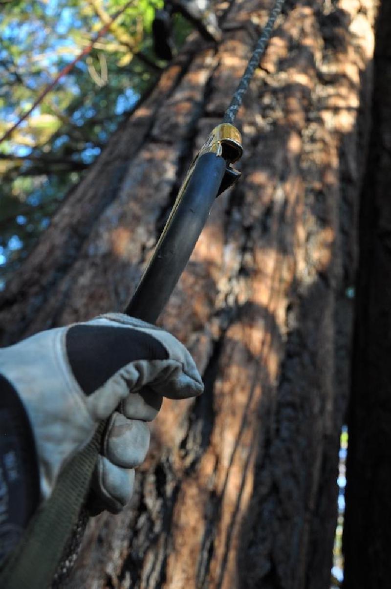 gallery/treeCamping_029.jpg