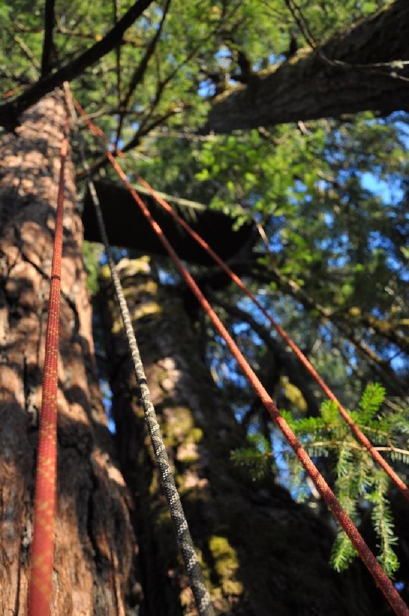 gallery/treeCamping_040.jpg