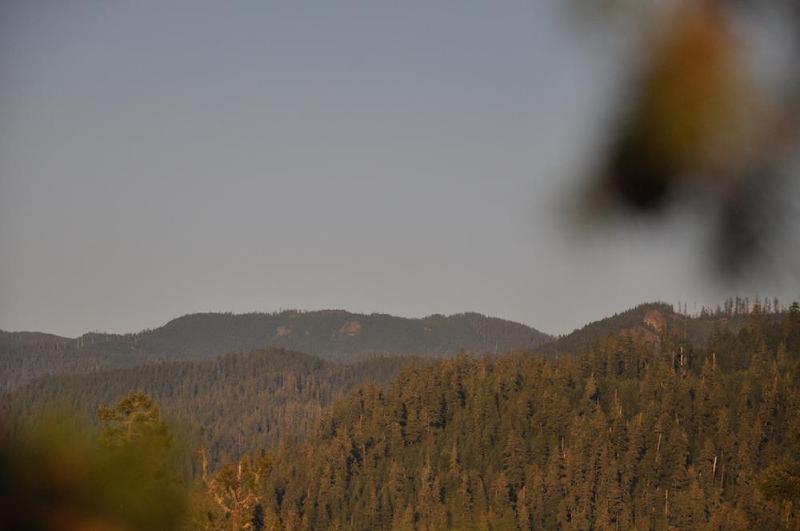 gallery/treeCamping_058.jpg