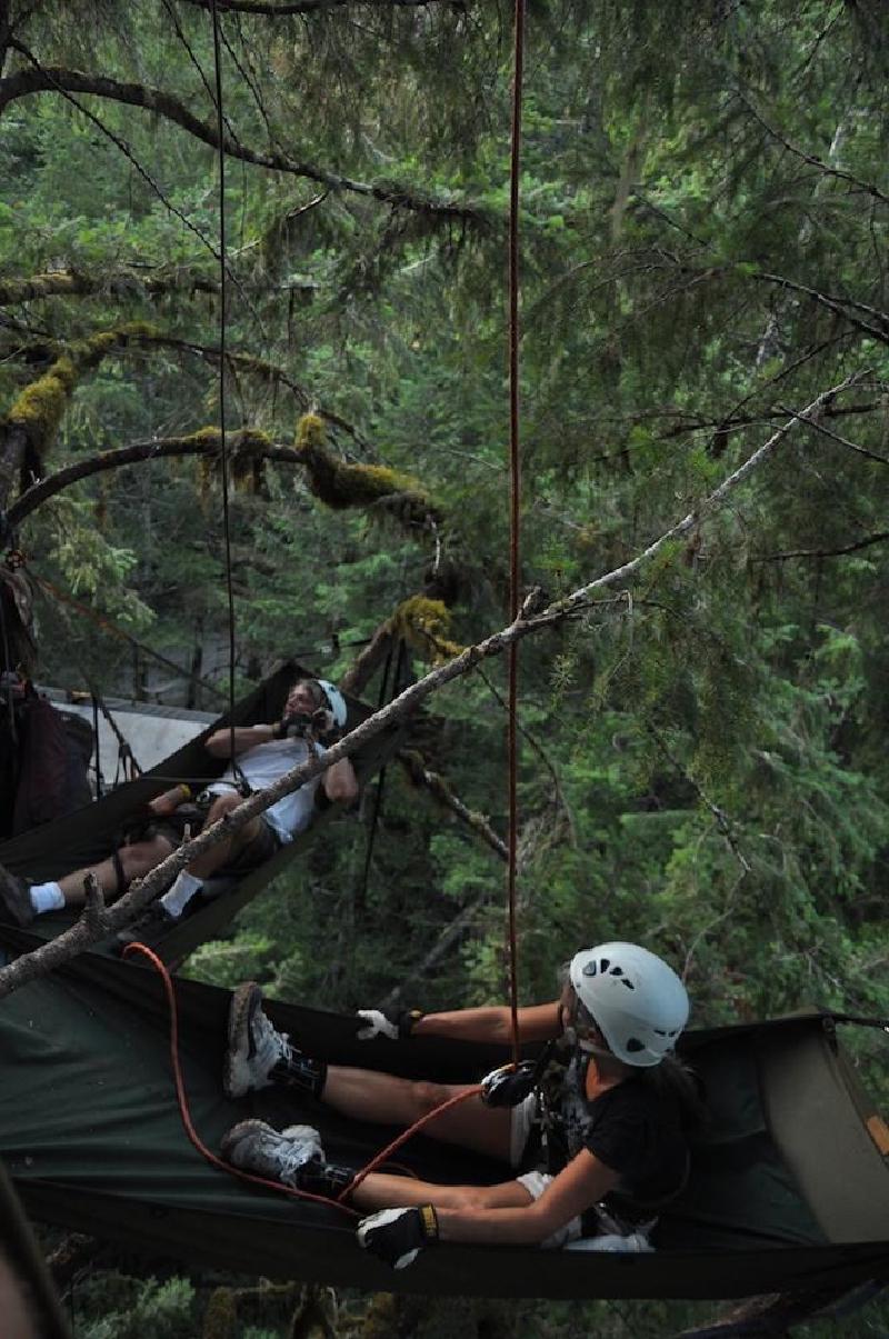 gallery/treeCamping_086.jpg