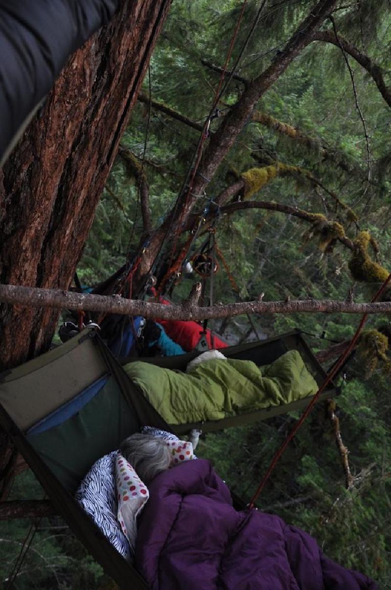 gallery/treeCamping_100.jpg