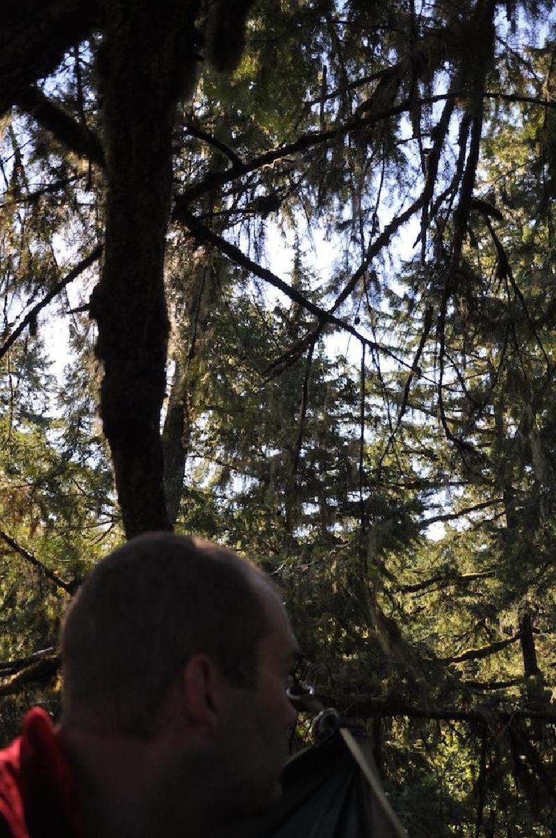gallery/treeCamping_113.jpg