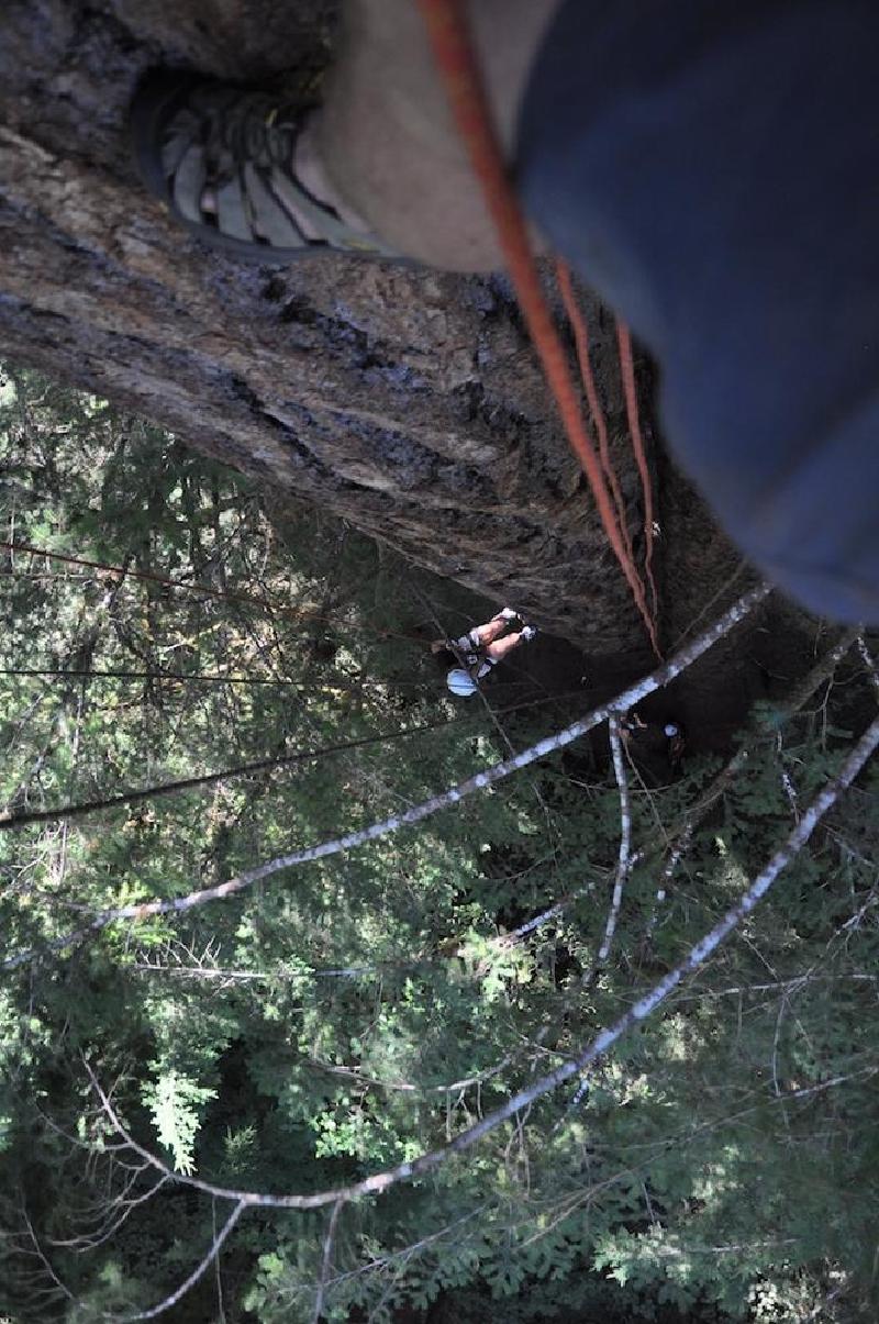 gallery/treeCamping_123.jpg