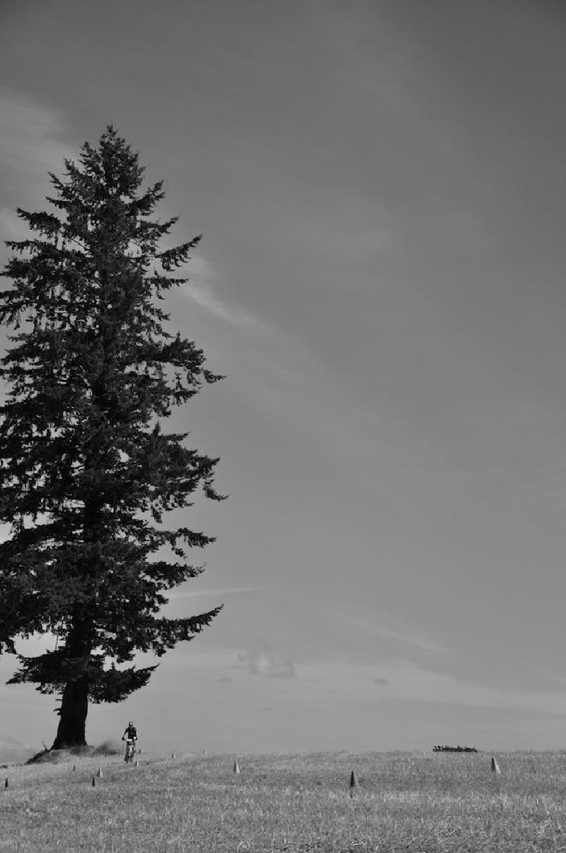 gallery/mtbPainPeak_065.jpg