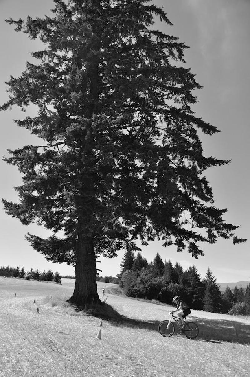 gallery/mtbPainPeak_095.jpg
