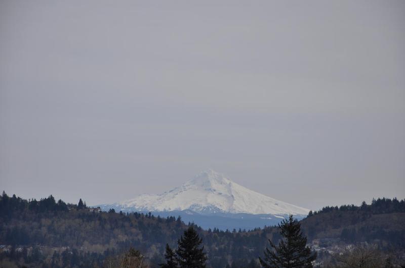 gallery/powellButte_01.jpg