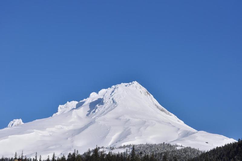 gallery/snowShoeRace_02.jpg