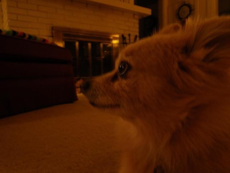 gallery/thanksgiving_034.jpg
