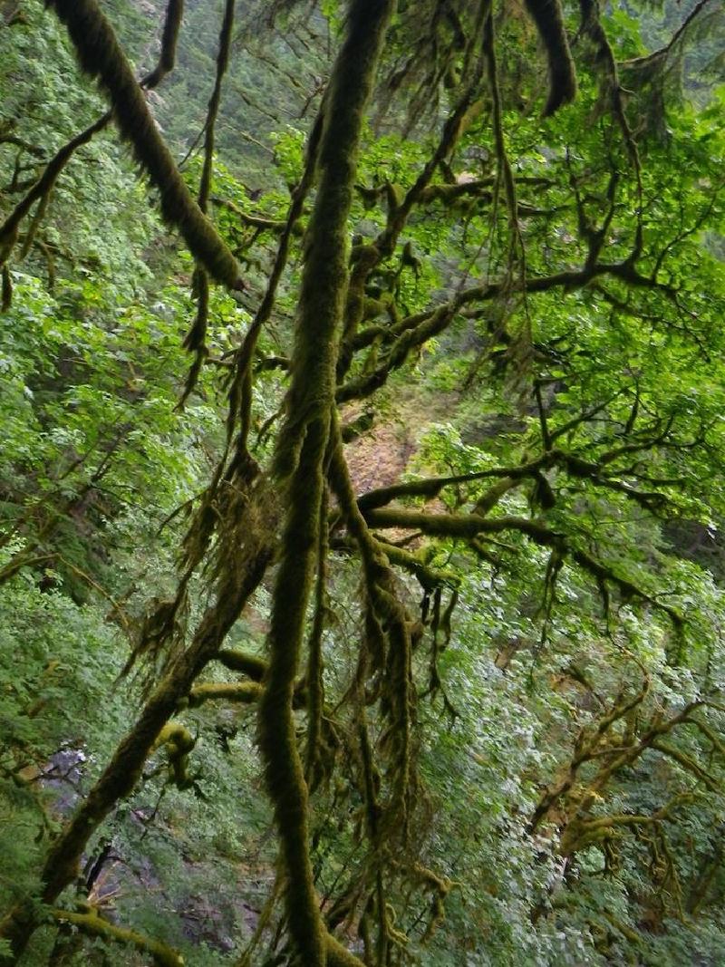 gallery/tripleFalls_019.jpg