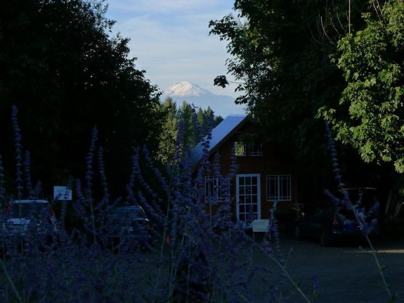 gallery/P1050161.jpg