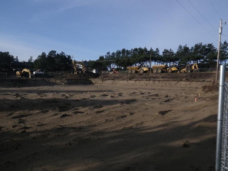 gallery/beachFeb_001.jpg
