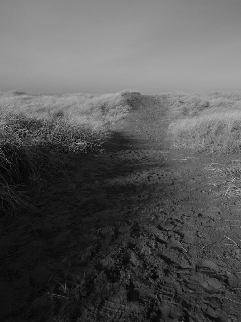 gallery/beachFeb_002.jpg