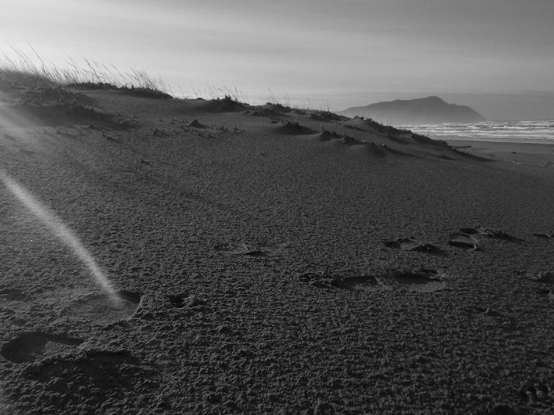 gallery/beachFeb_004.jpg