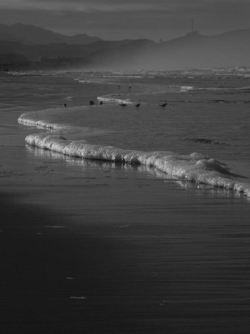 gallery/beachFeb_010.jpg