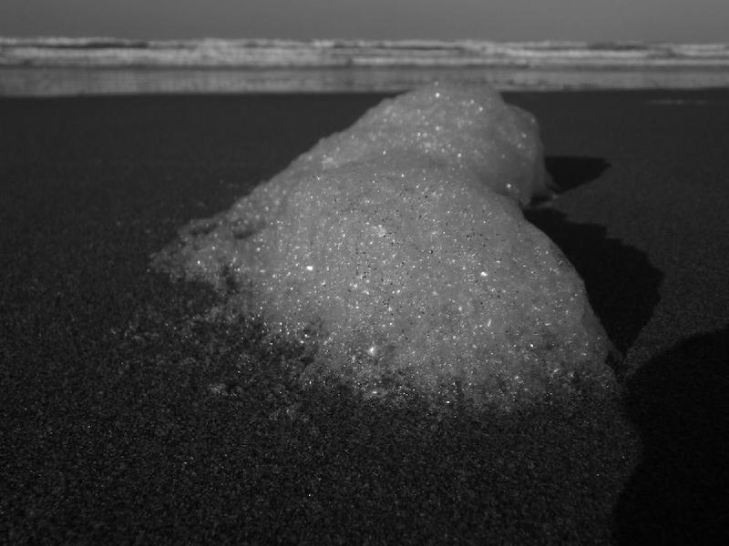 gallery/beachFeb_019.jpg