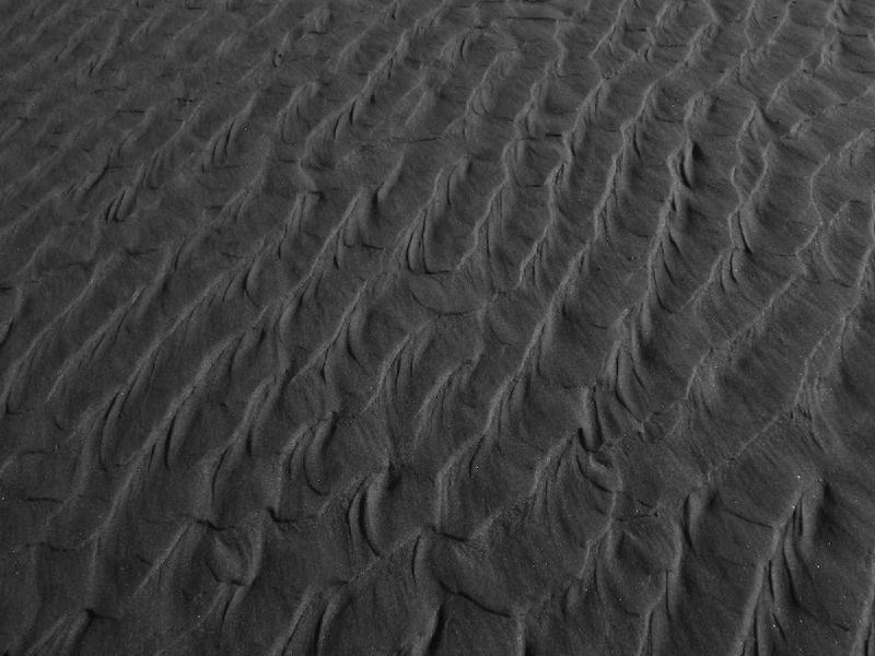 gallery/beachFeb_022.jpg