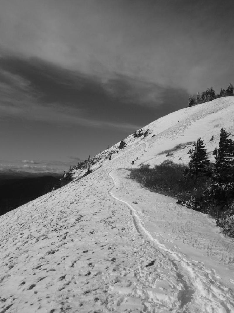 gallery/dogMountainFeb_008.jpg