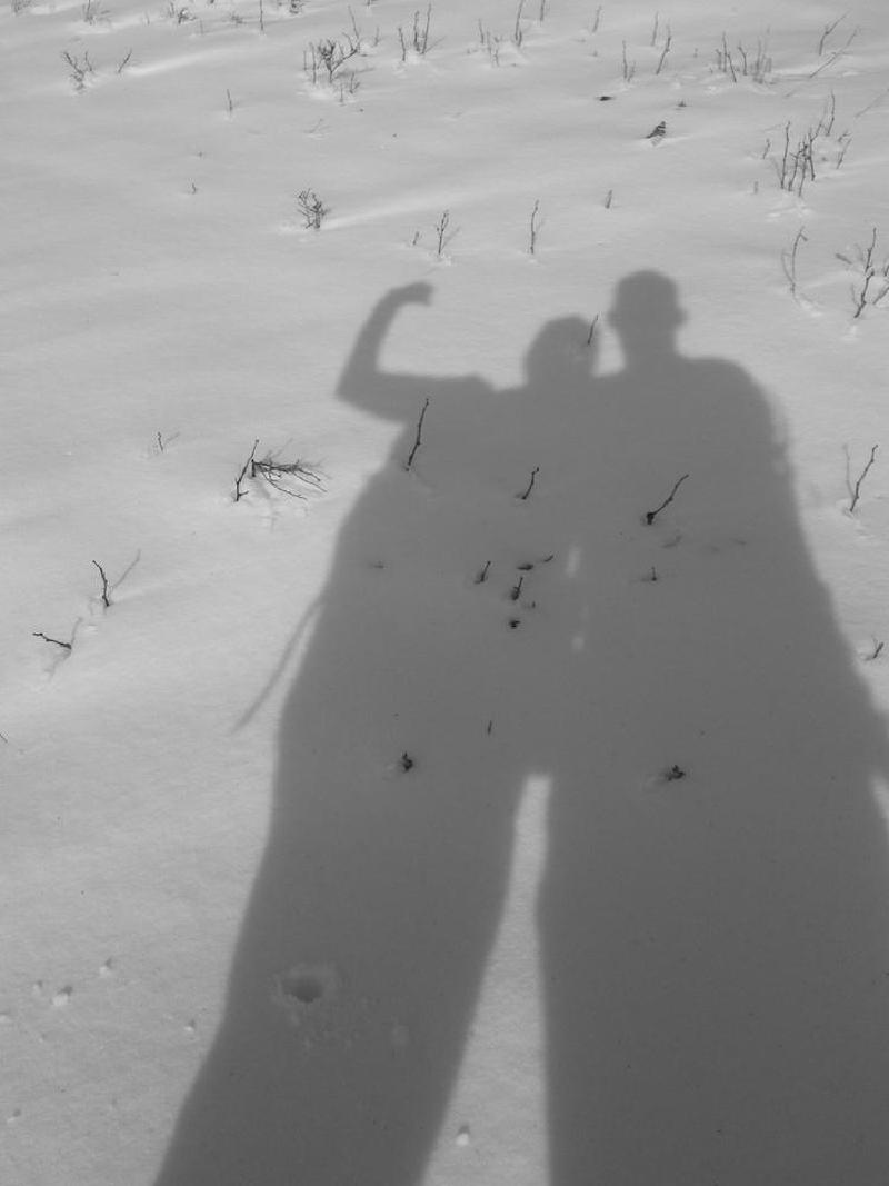 gallery/dogMountainFeb_009.jpg