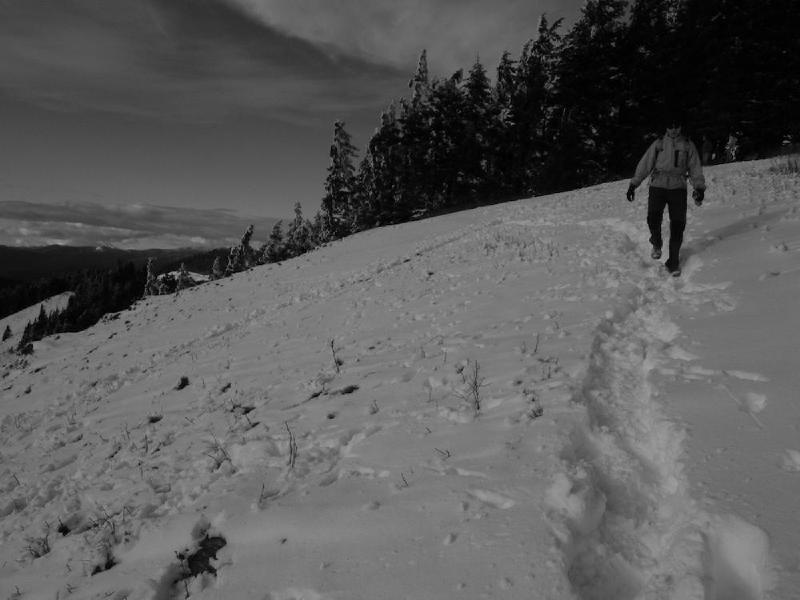 gallery/dogMountainFeb_019.jpg