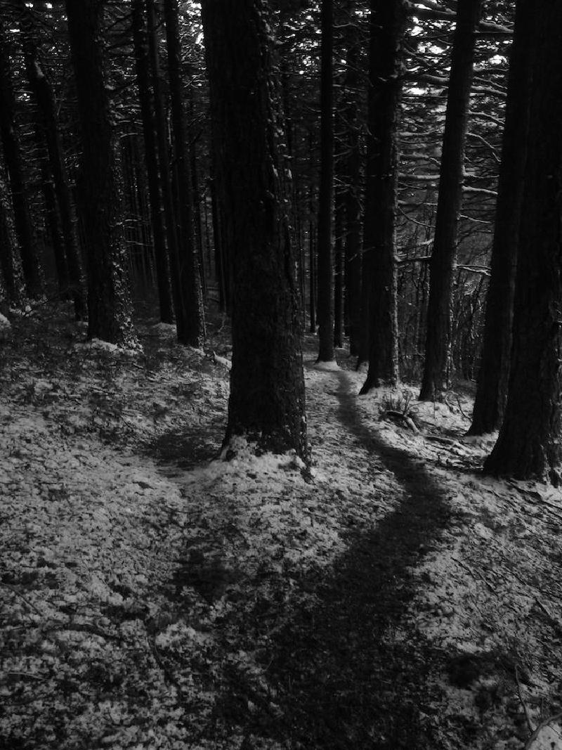 gallery/dogMountainFeb_026.jpg