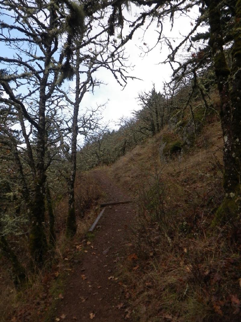 gallery/dogMountain_002.jpg