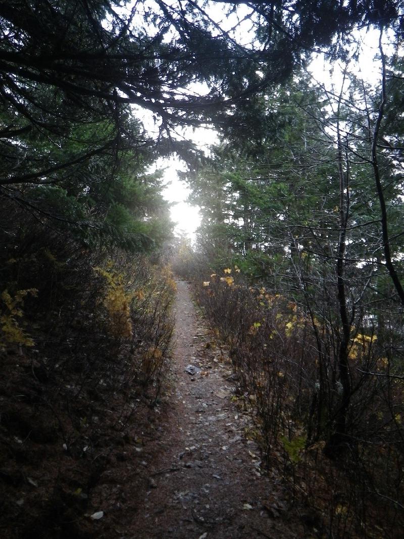 gallery/dogMountain_004.jpg