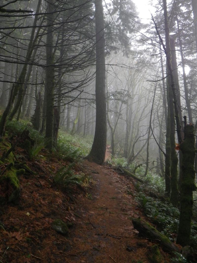 gallery/dogMountain_008.jpg