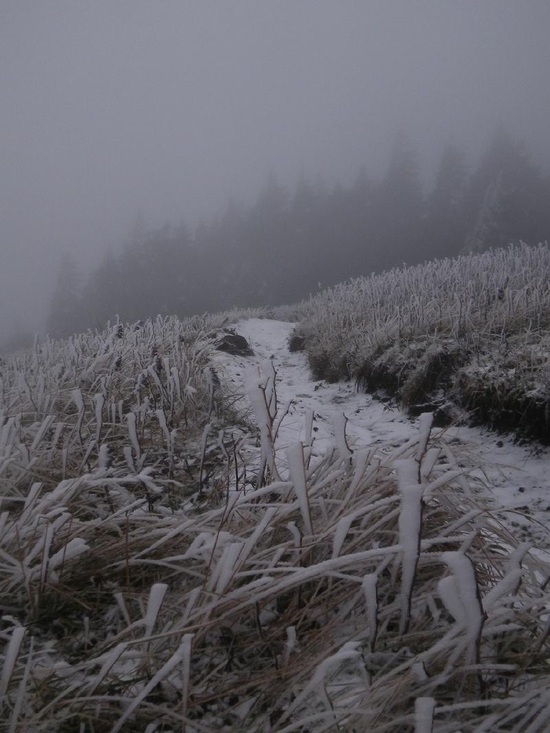 gallery/dogMountain_017.jpg