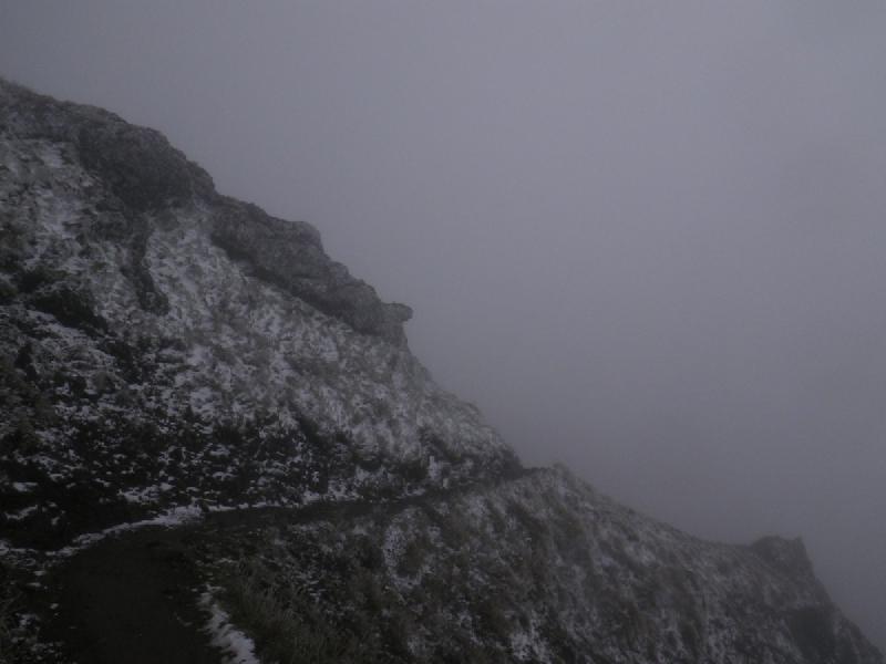 gallery/dogMountain_020.jpg
