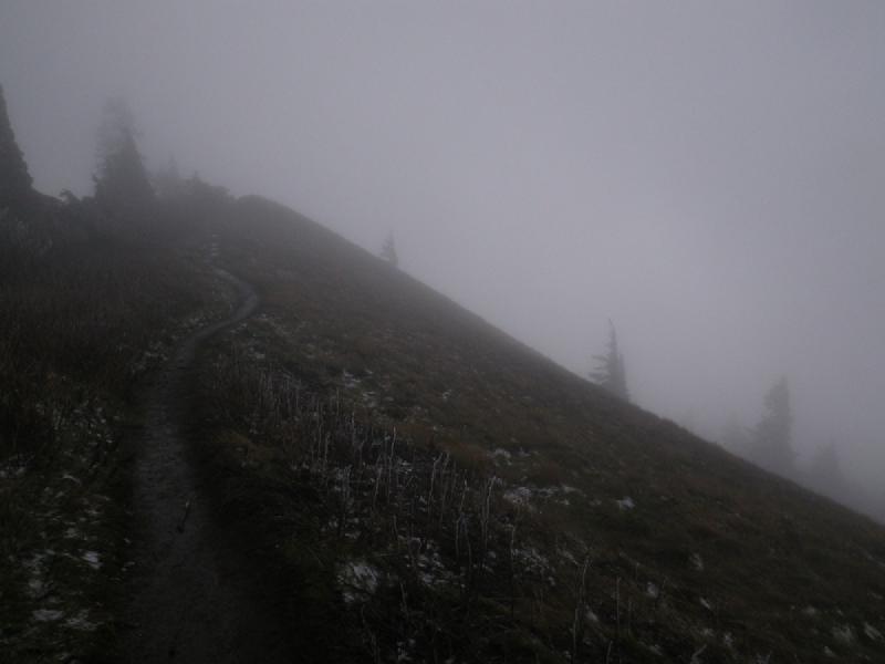 gallery/dogMountain_022.jpg