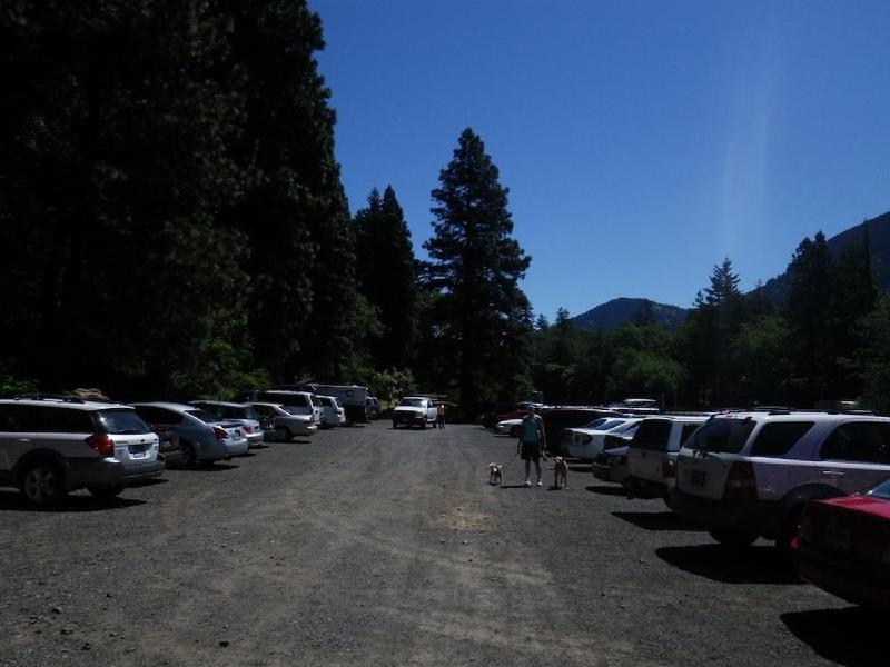 gallery/dogMountainJune_001.jpg