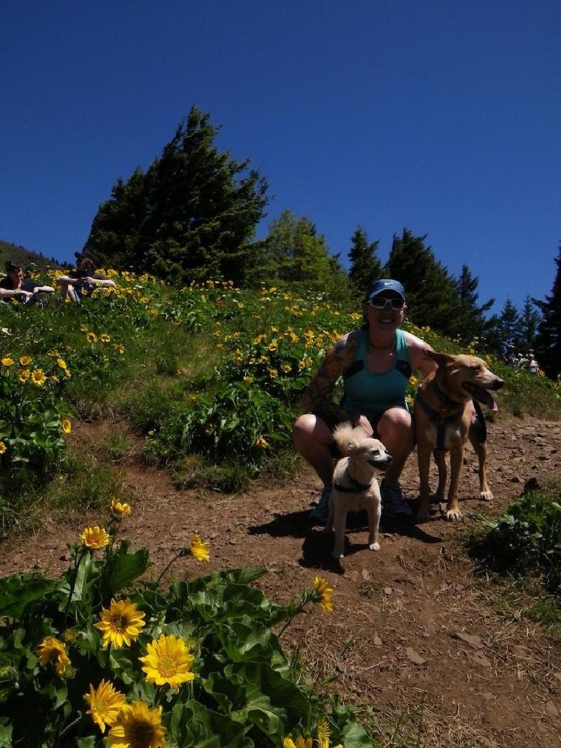 gallery/dogMountainJune_003.jpg